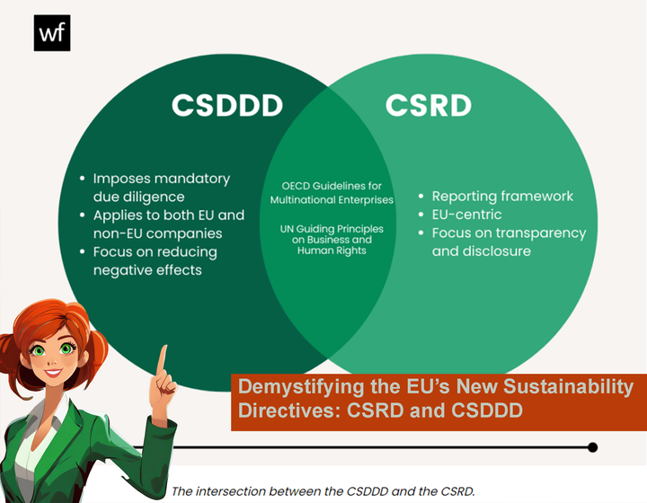 Demystifying the EU’s New Sustainability Directives: CSRD and CSDDD